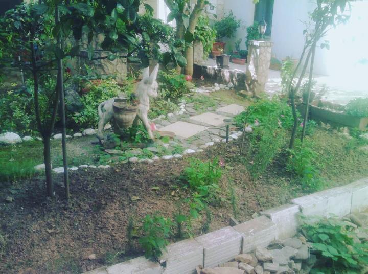 Guest House Mirza โมสตาร์ ภายนอก รูปภาพ